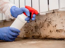 Best Comprehensive Air Testing for Mold Contaminants  in El Dorado, KS